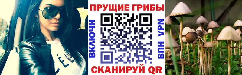 Галлюциногенные грибы прущие грибы  наркотики  Владимир 